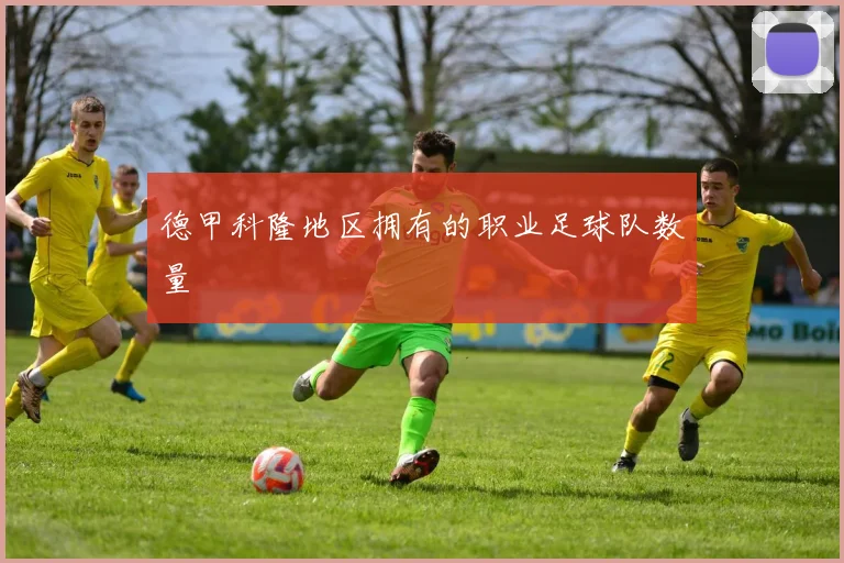 德甲科隆地区拥有的职业足球队数量